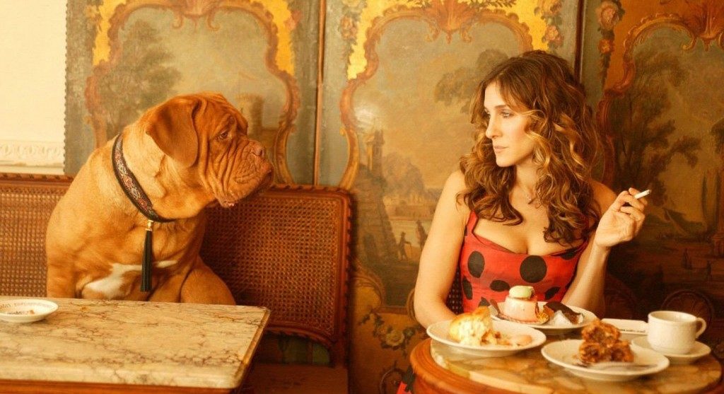 A person sitting at a table with a dog