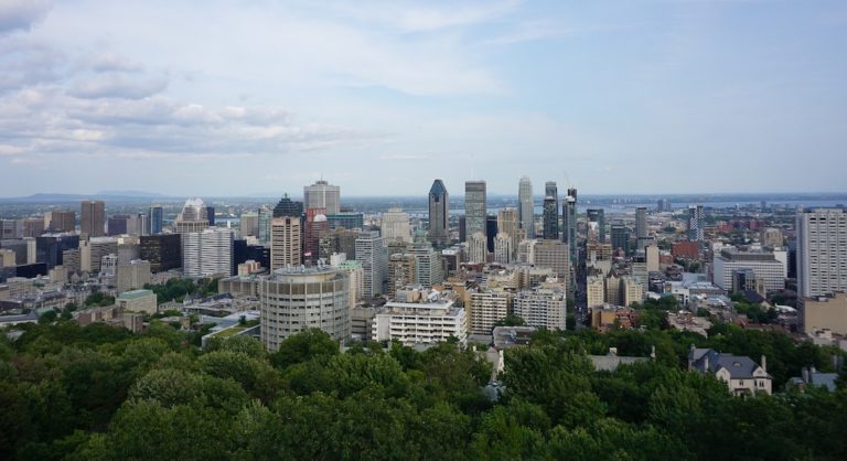 A view of Mount Royal with tall buildings in the background