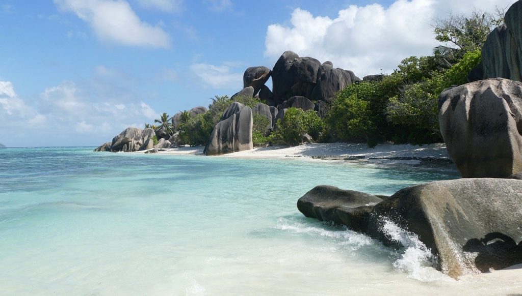 A large elephant standing next to a body of water