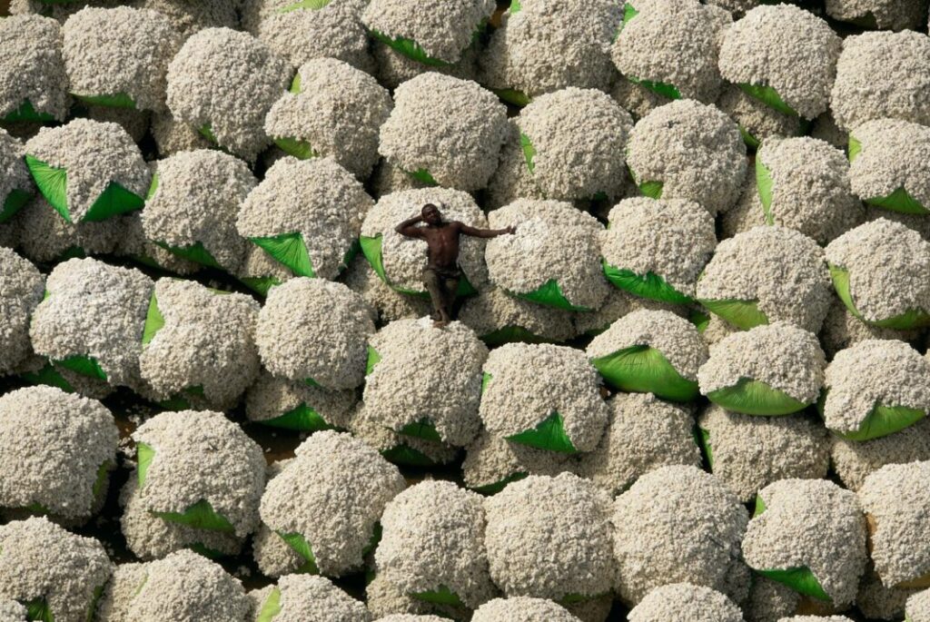 A pile of fresh produce