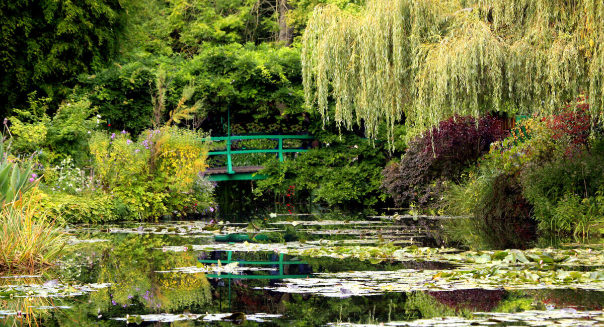 A body of water surrounded by trees