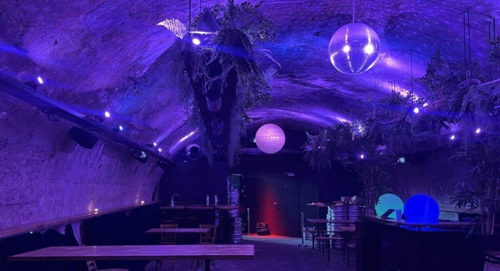 Subterranean room with disco ball and purple lighting