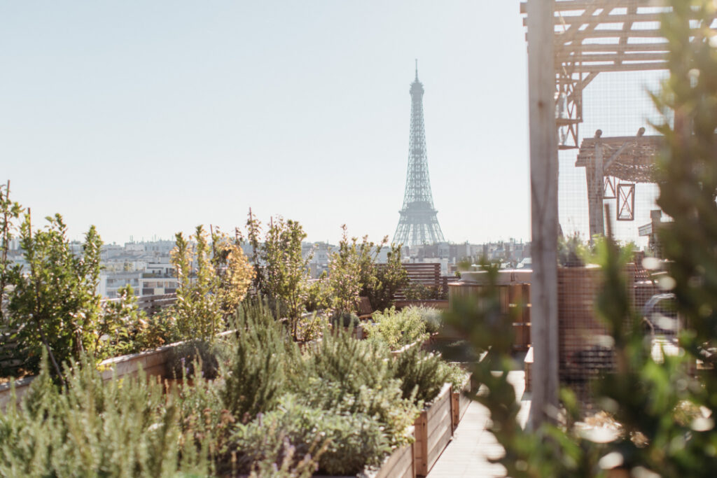 paris-hotel-eiffel-tower-view