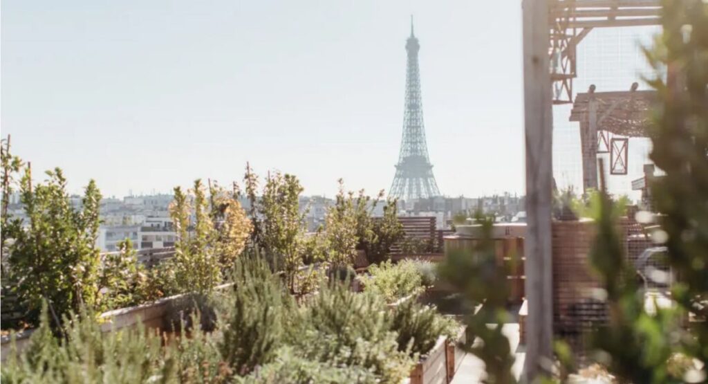 Rooftop terrace view of Eiffel Tower.