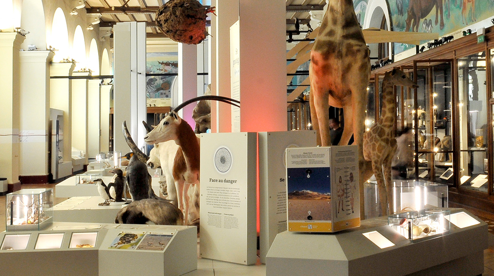 Muséum d’Histoire Naturel marseille