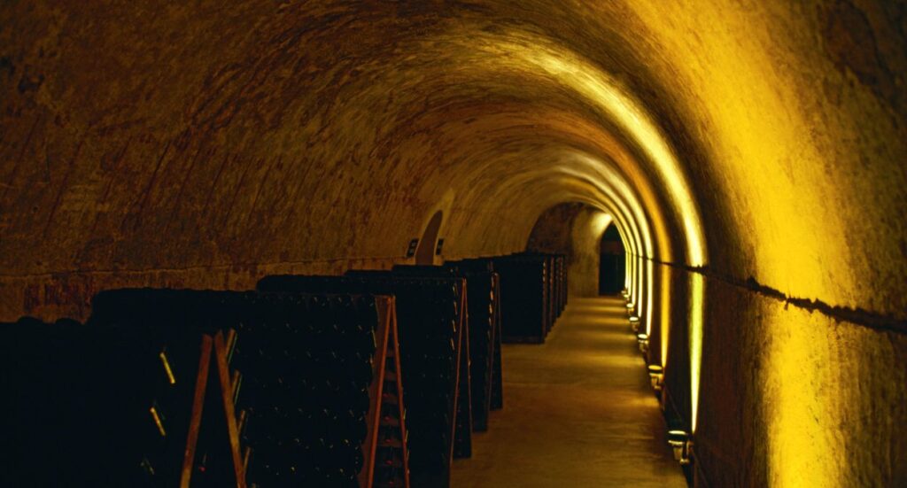 GM Mumm underground champagne caves.