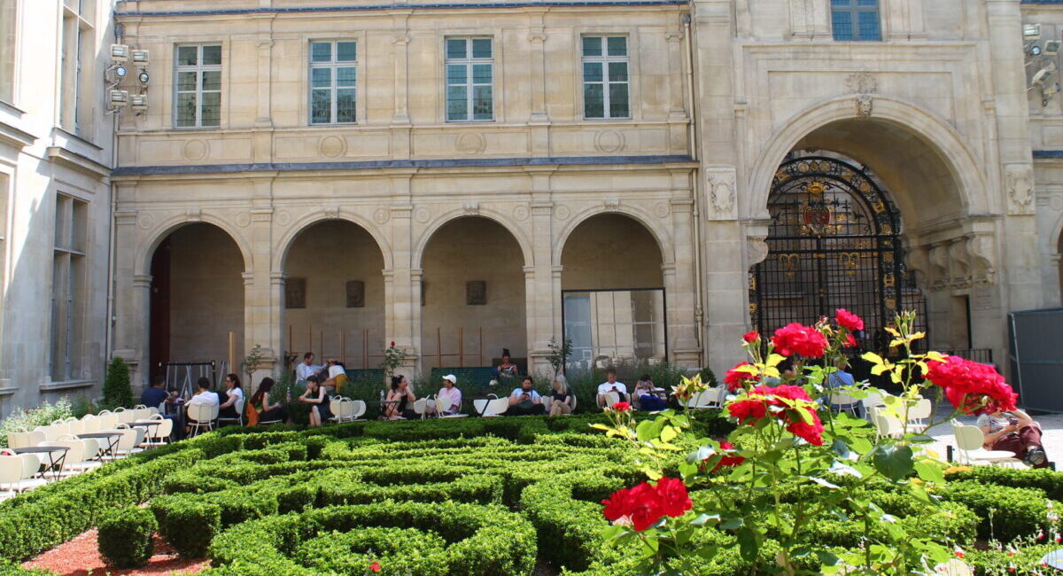 Maze hedges and roses by outdoor cafe