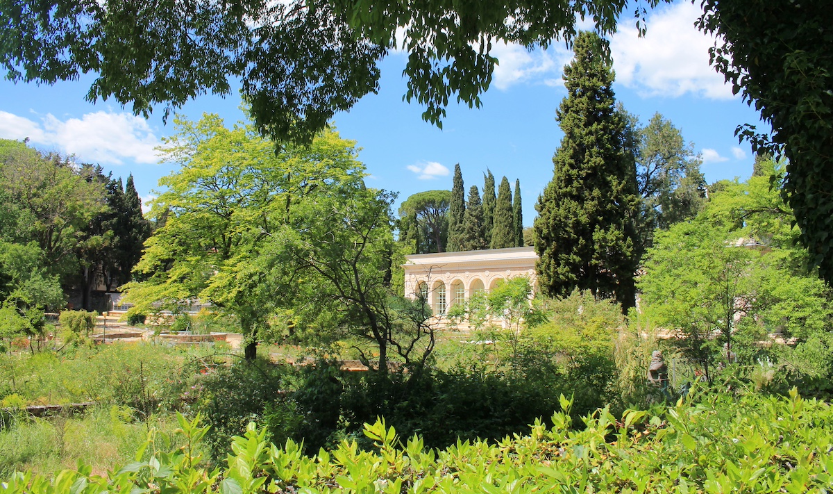 The famous Historic botanical garden and arboretum of Montpellier, the oldest in France, Herault, Occitanie