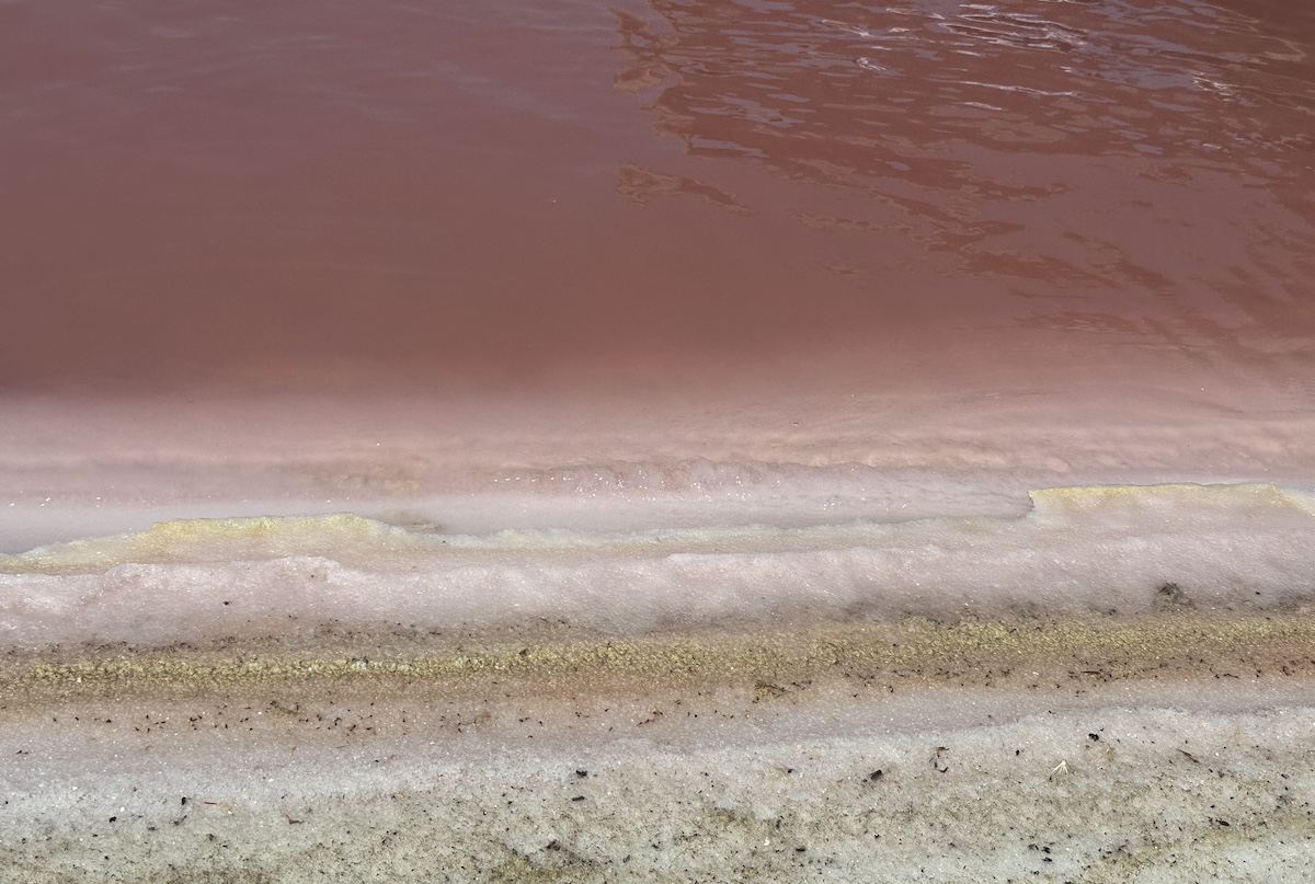 Pink saltwater waves lapping at the shore