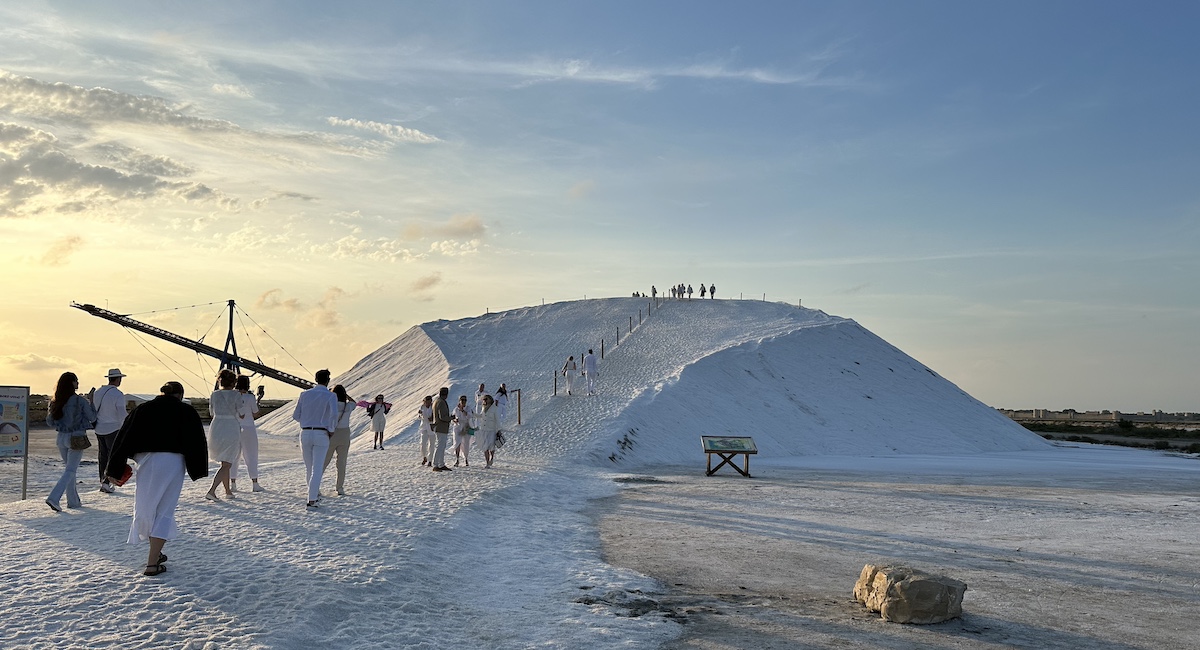 People climbing camelles at dusk