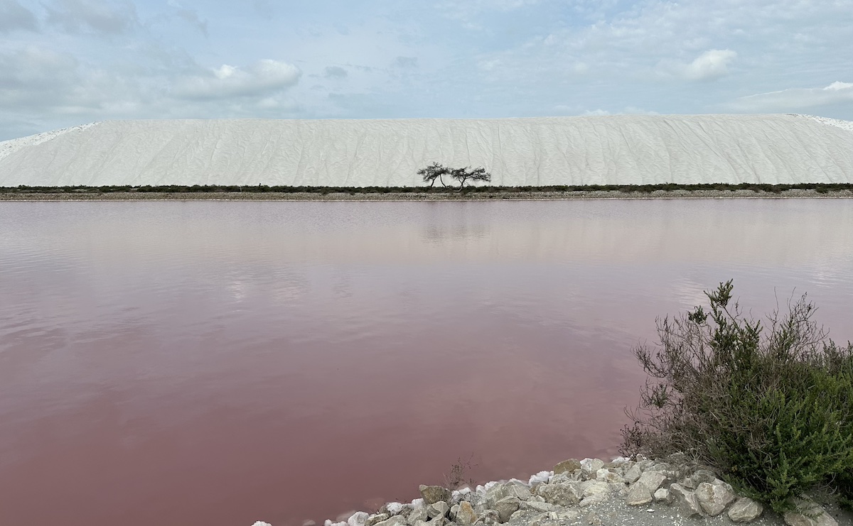 Camelles above salins in Aigues-Mortes