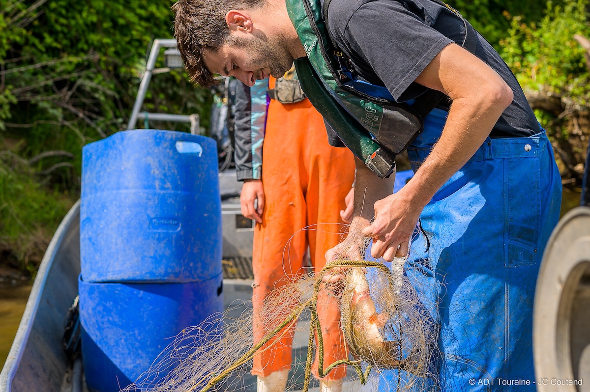 Fisherman pulling in net