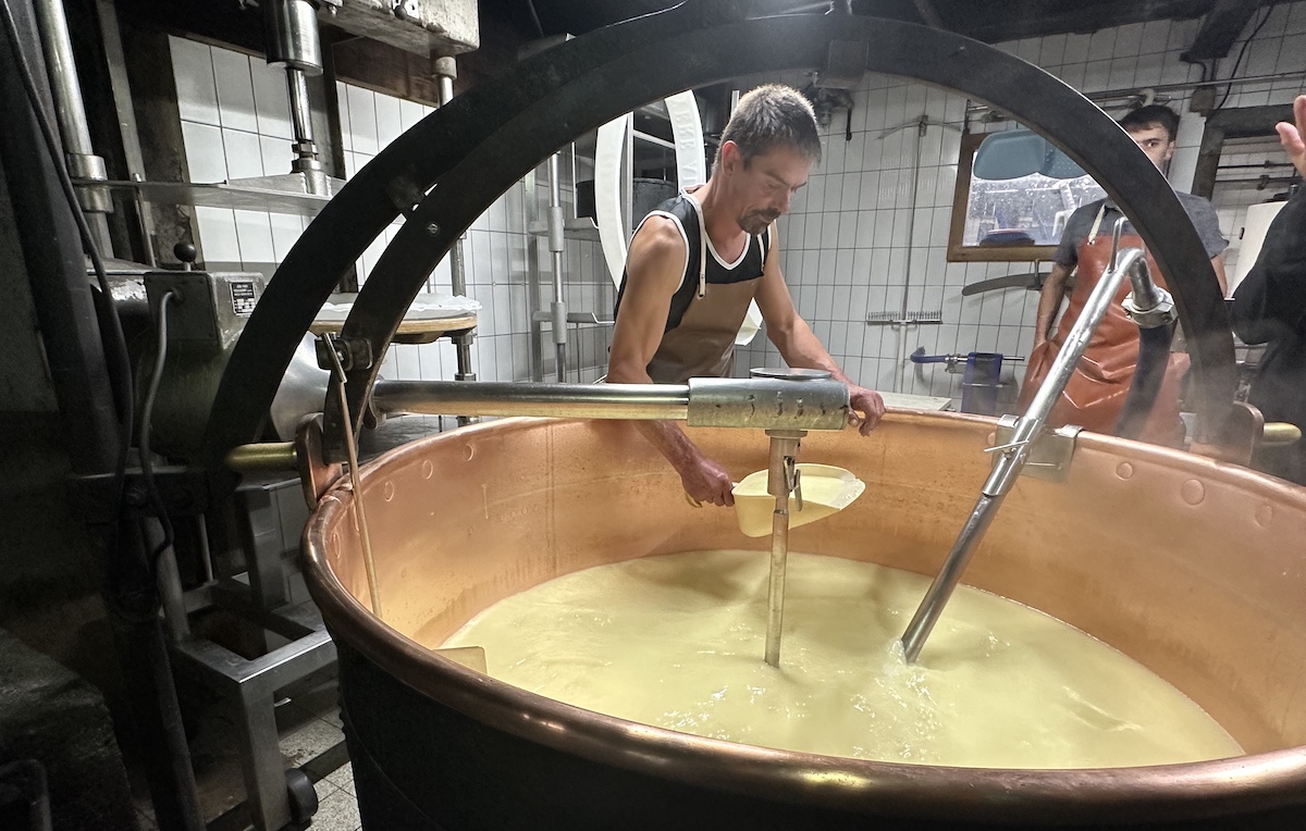 Cheesemaker scooping curds from copper vat