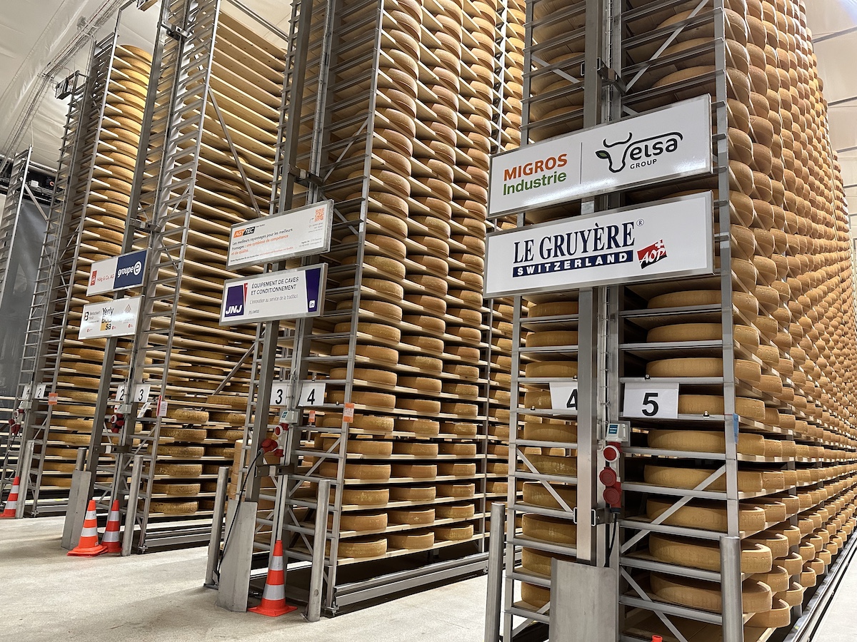 Wheels of cheese in maturation facility