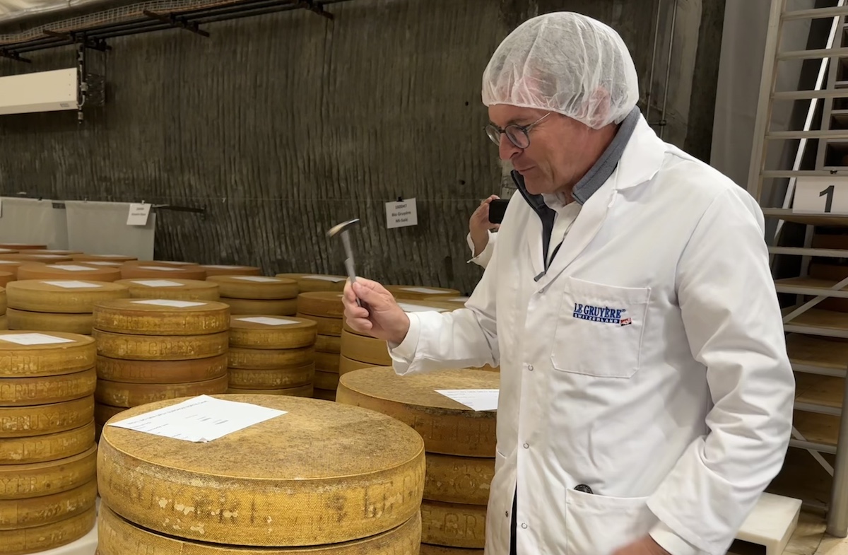 Man in hair net testing wheel of cheese