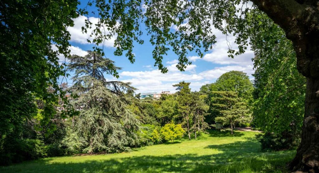 Parc Montsouris.
