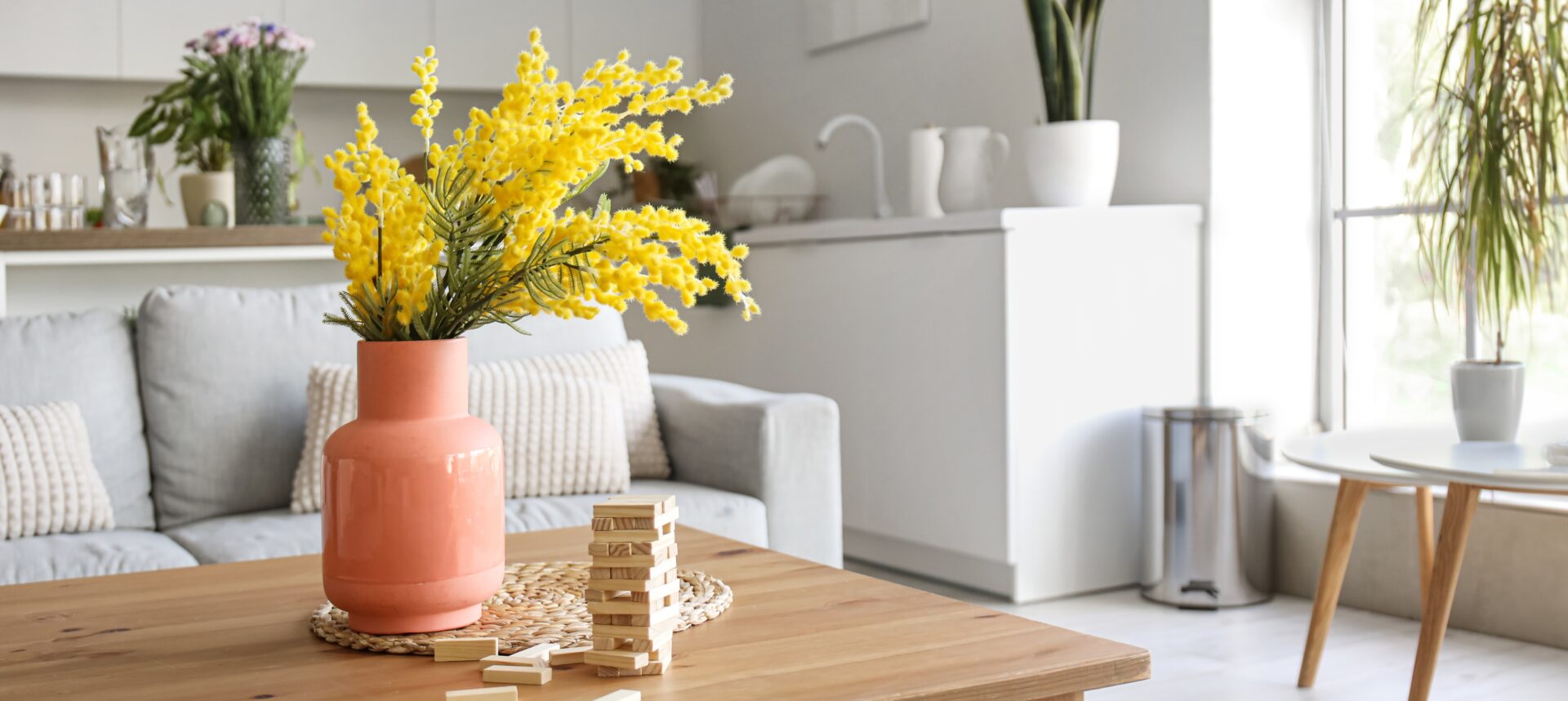 french spring flower mimosa on table