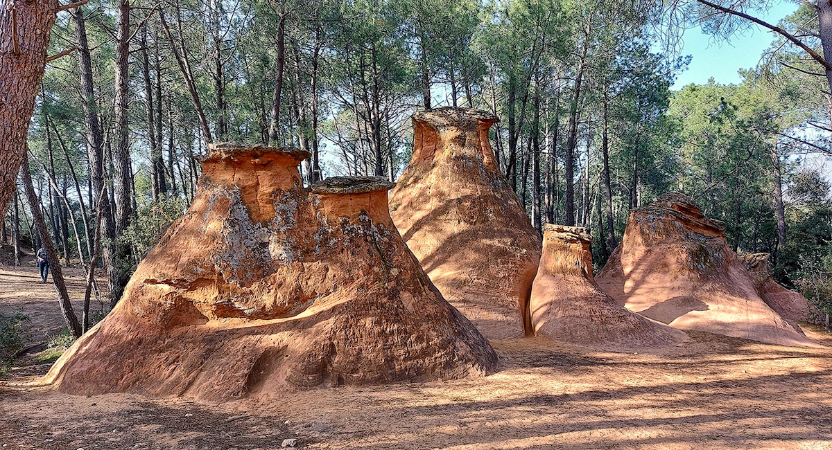 Demoiselles coiffees in Bedoin