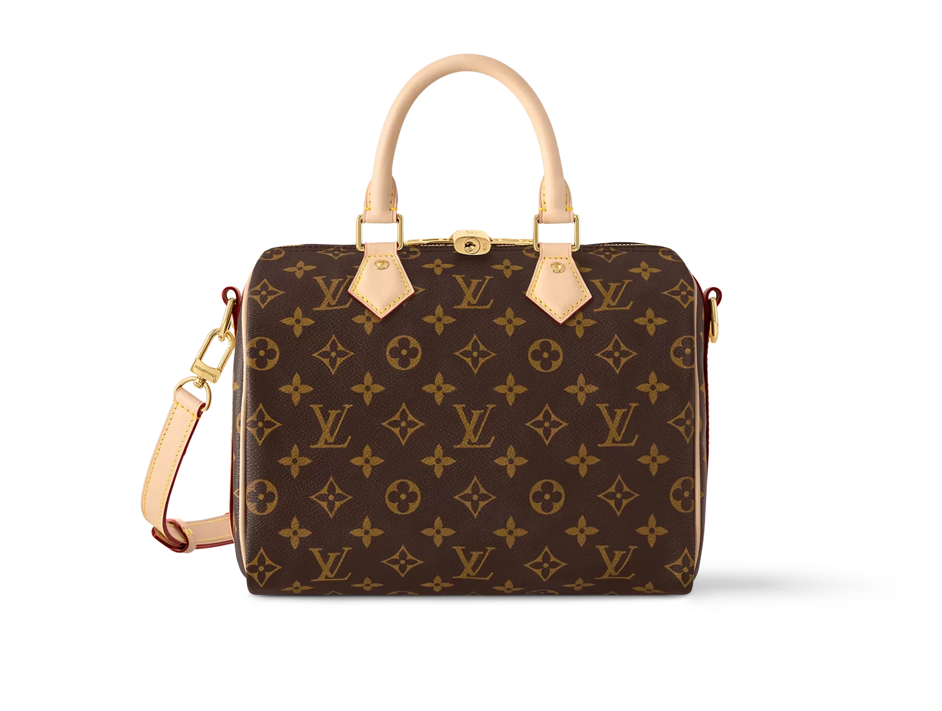 LV Speedy Bag