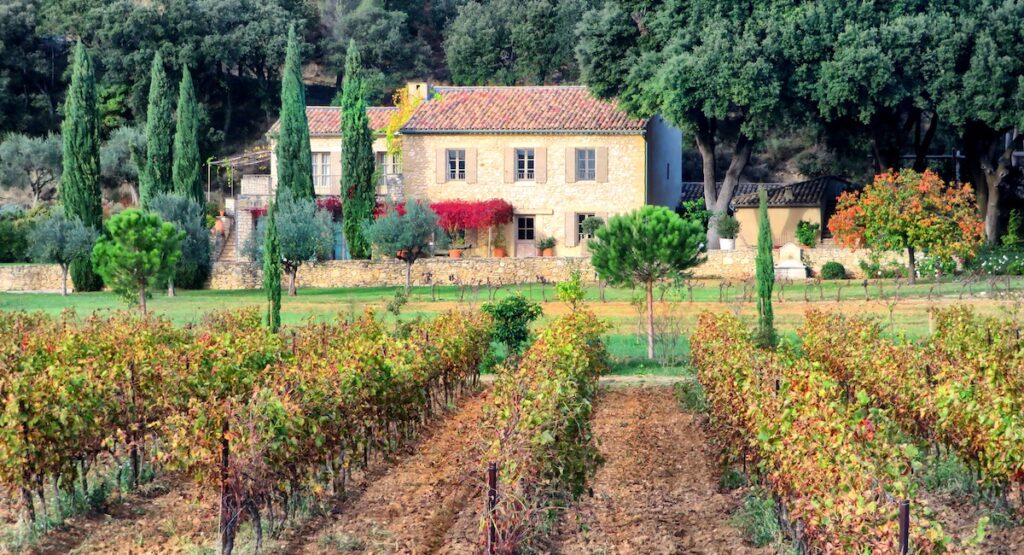 House and vineyard in Malaucene