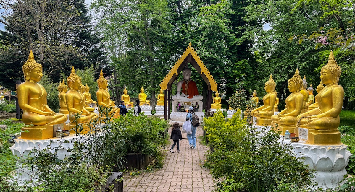 Thai temple with golden statues surrounded by greenery.