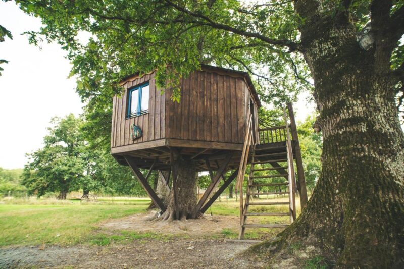 treehouse farm france