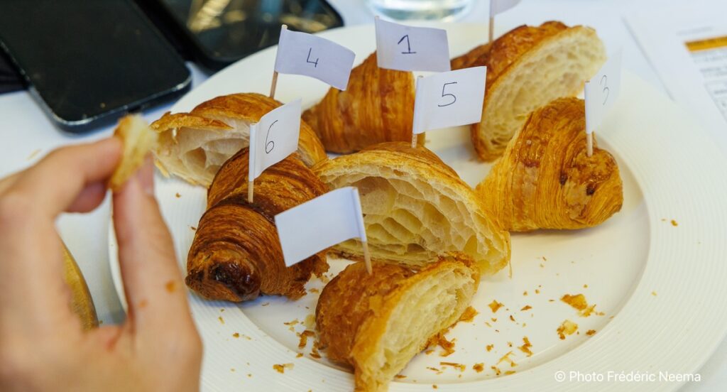 Pieces of croissant on plate