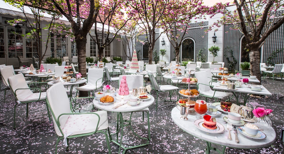 Laduree Soho garden