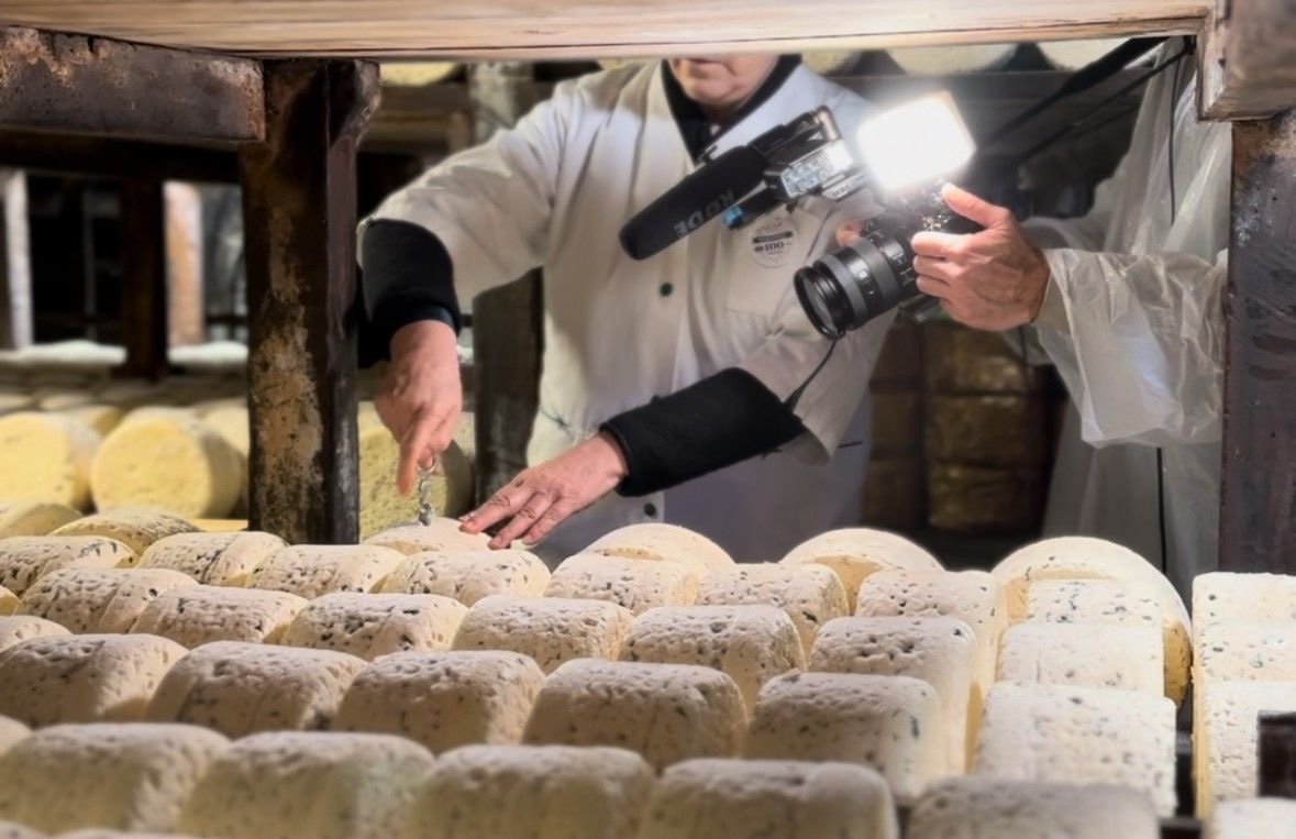 Cheesemakers inspecting ripening wheels of Roquefort
