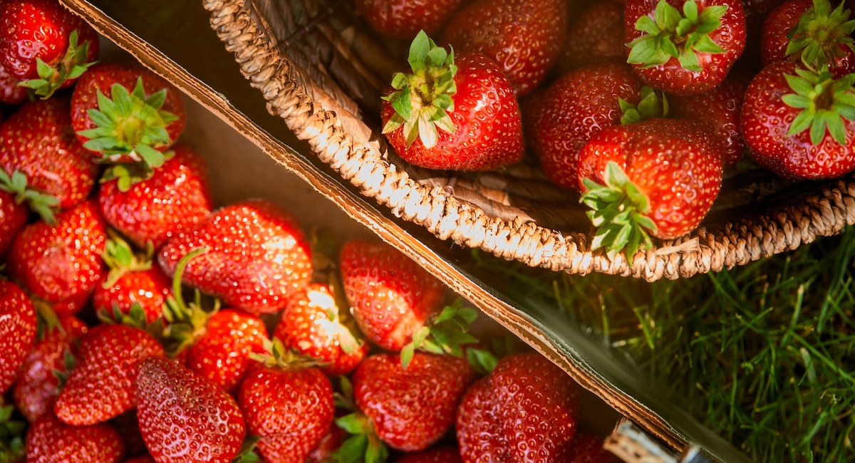 Baskets of strawberries against grass