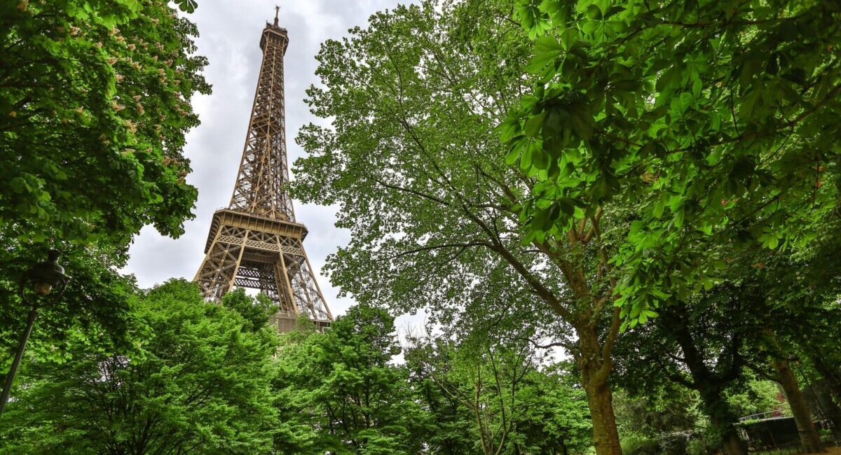 champ de mars eiffel tower view