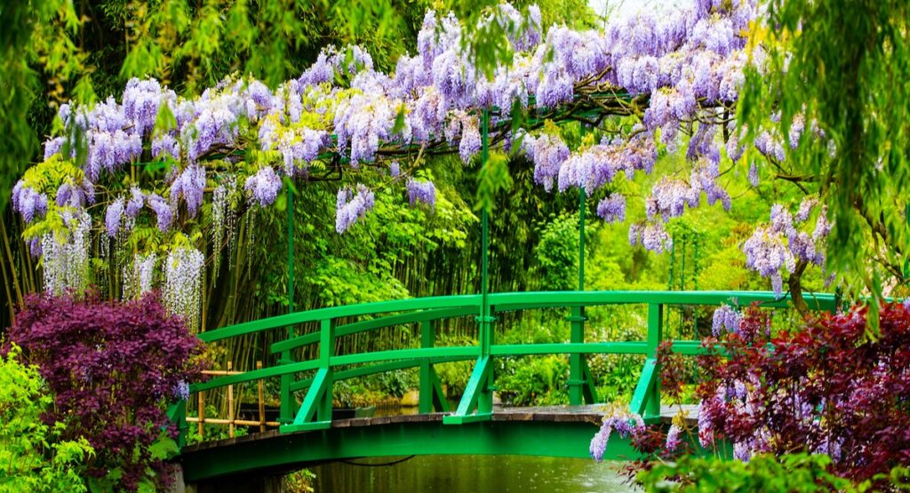 Japanese Bridge in Monet's gardens at Giverny