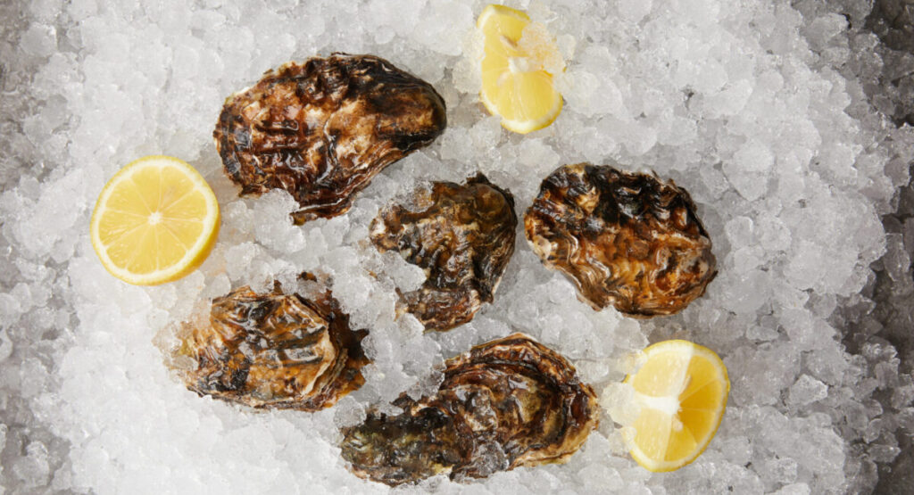 Large oysters served with lemons on ice.