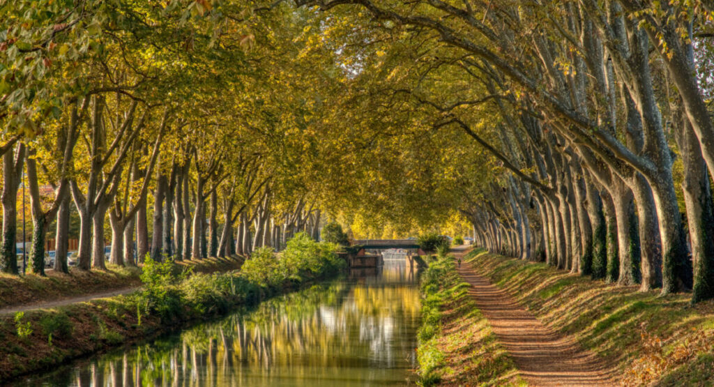 The Canal du Midi which runs through the city of Toulouse.