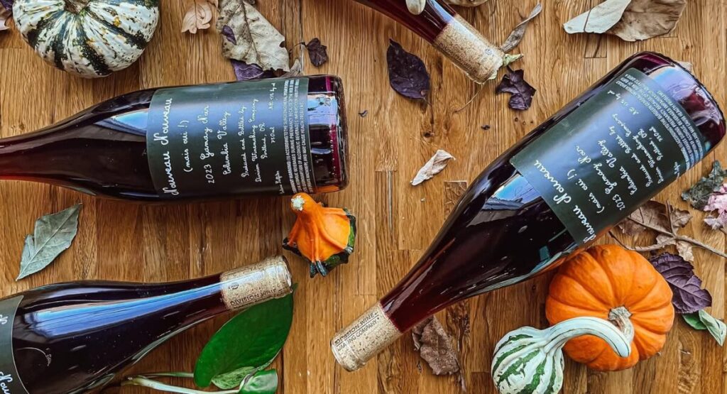Wine bottles on table.