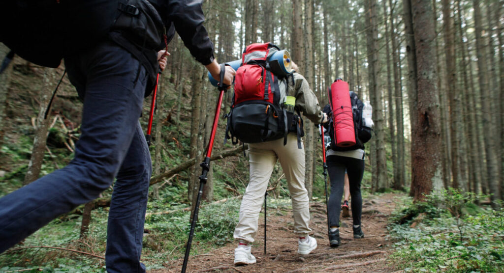 Group of friends is hiking.