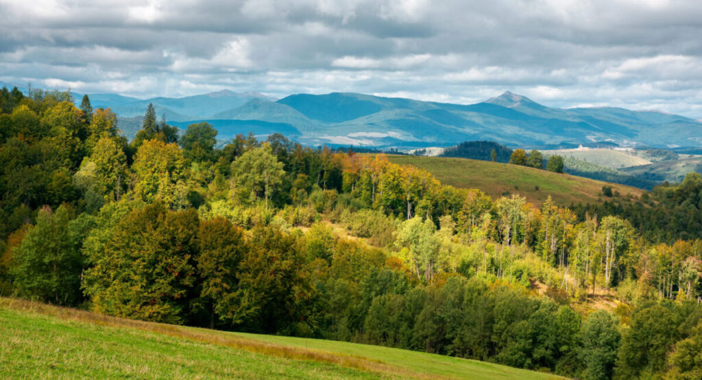 Vosges mountains.