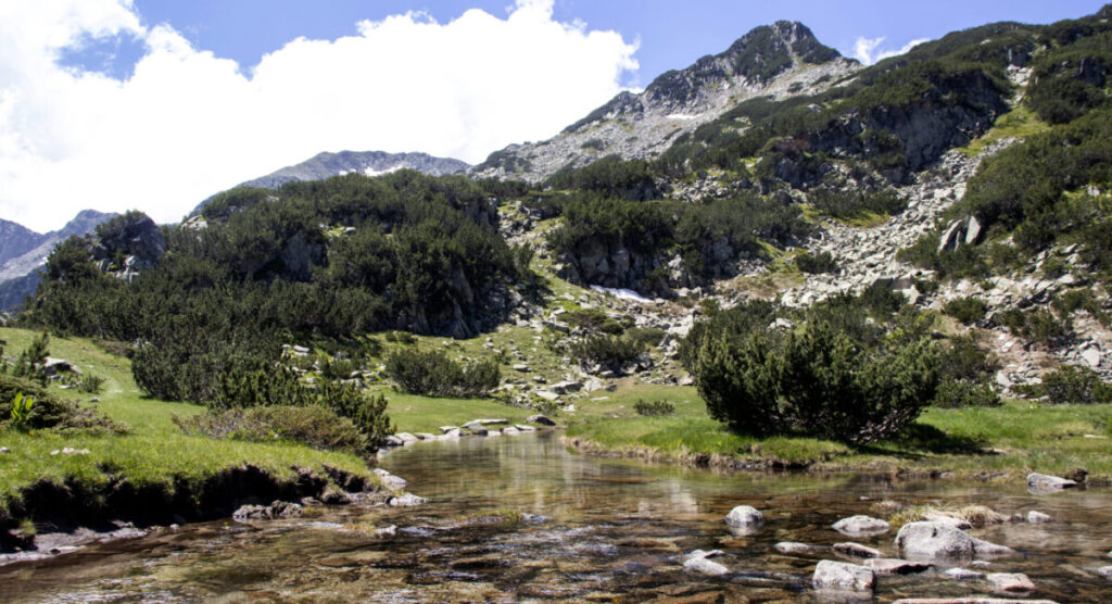 Mountain landscape.