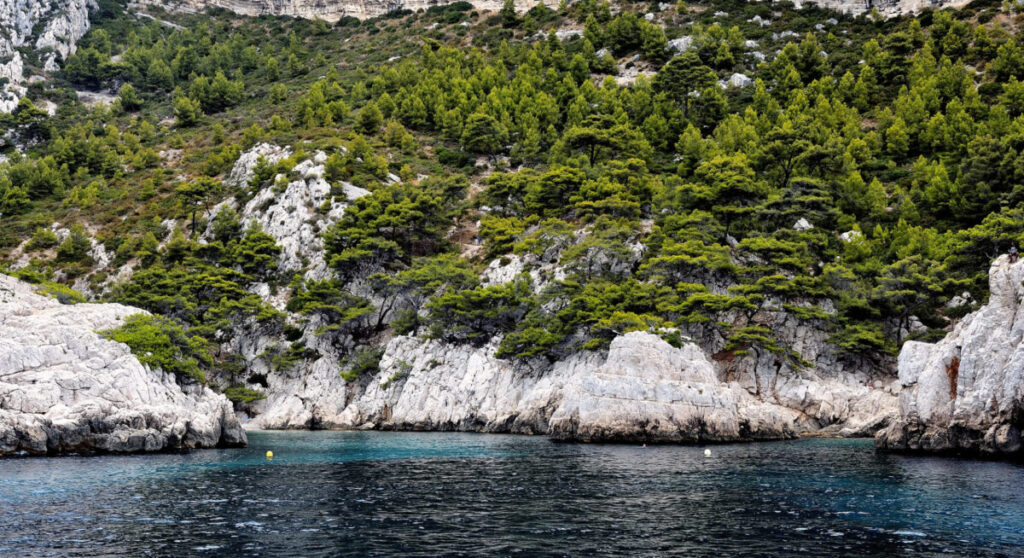 Coastal landscape between Cassis and Marseille .
