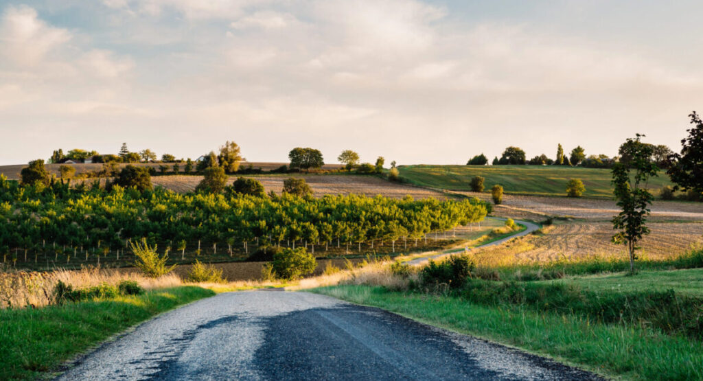 Country road in Gers.