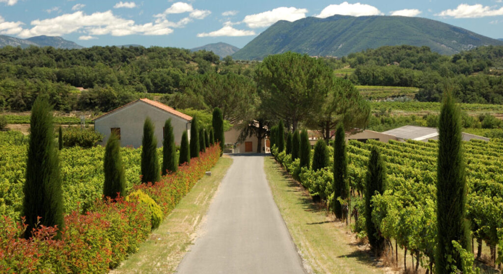 Landscape in the Provence, France.