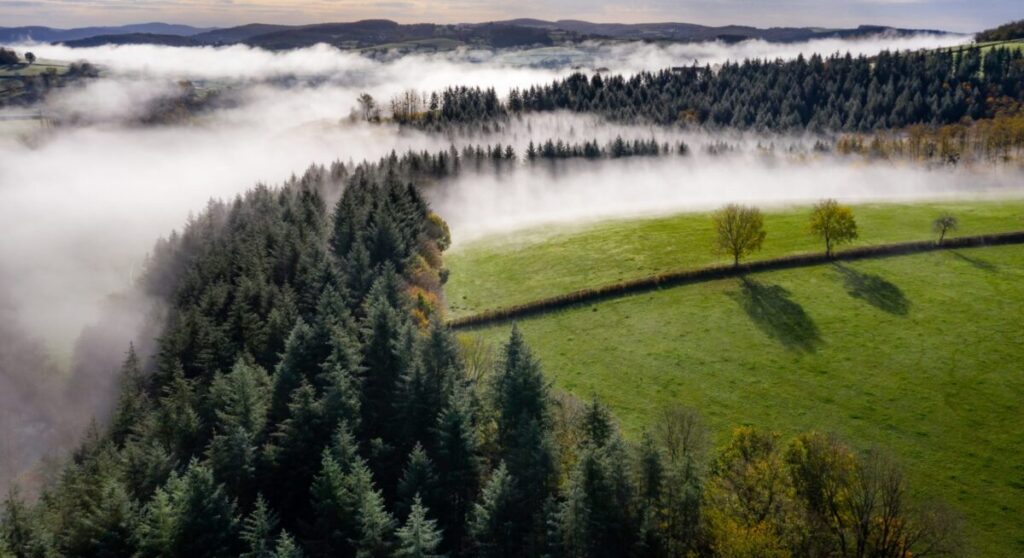 Natural park ok Morvan.
