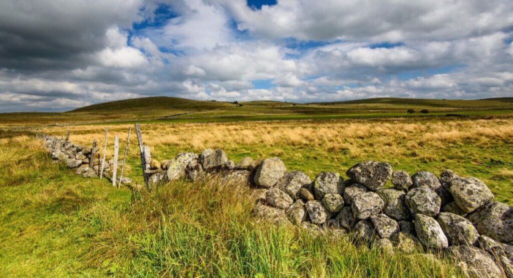 Aubrac plateau.