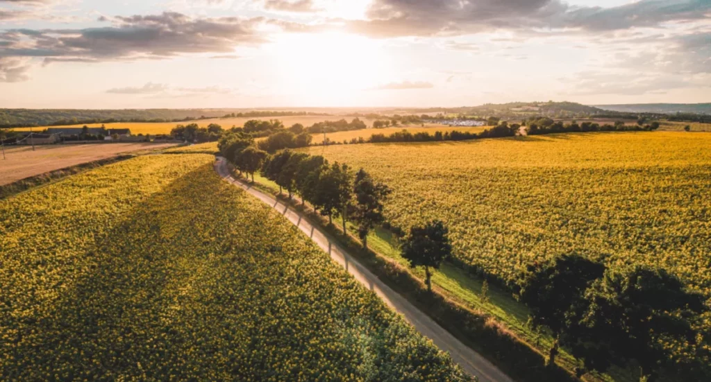Landscape of Berry region.