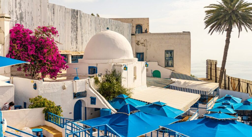Traditional houses in Tunis.