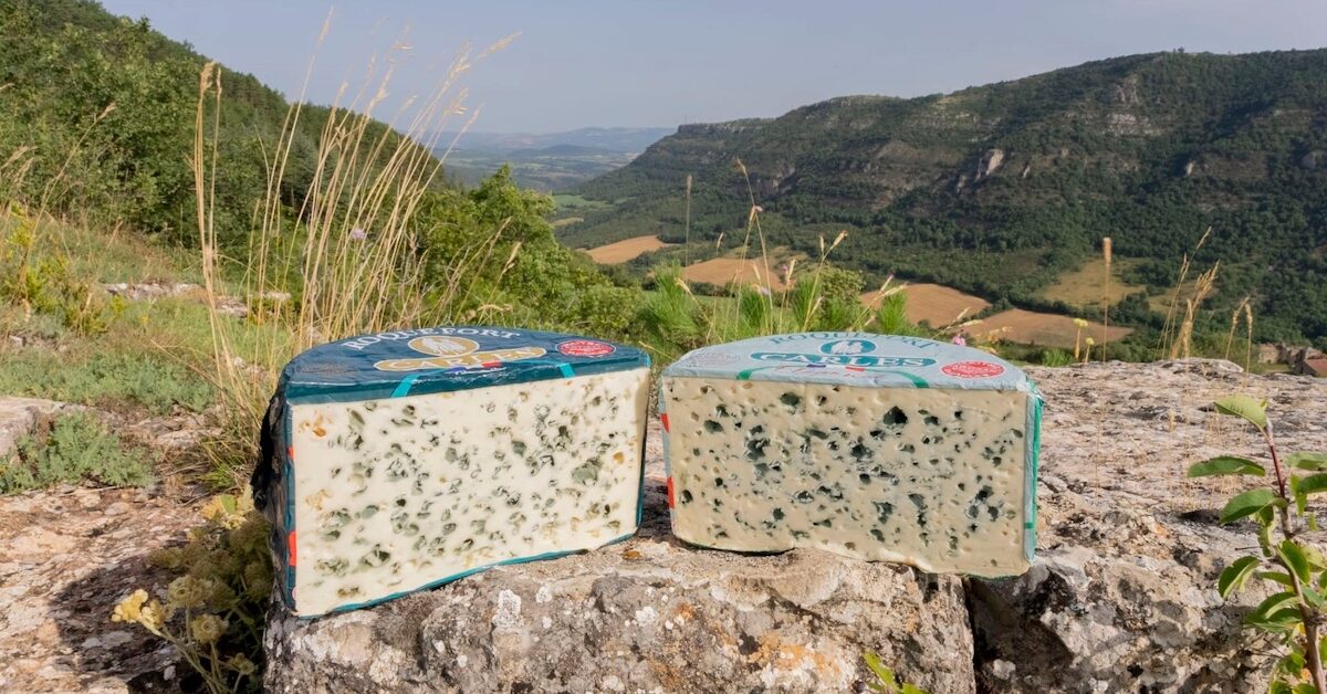 Two half wheels of Roquefort cheese against a mountainous background