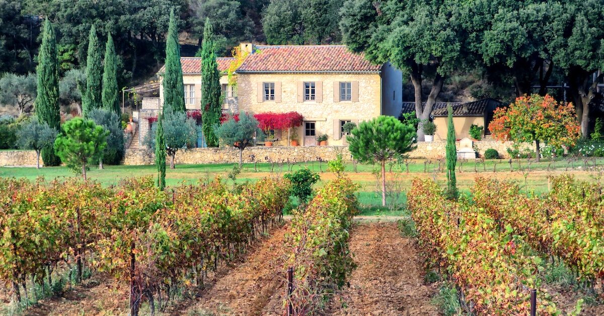 House and vineyard in Malaucene
