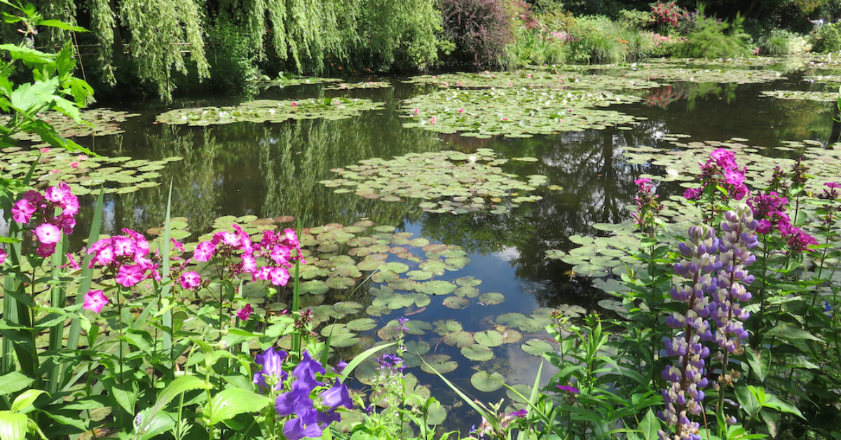 The wonderful pound with a lot of water lilies in the amazing garden of Monet in Giverny. All around the water the flowers and the trees are luxurious.