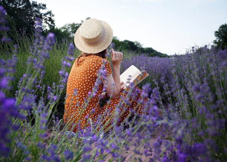 Provence - girl reading a book in a lavender field and basket with lavender in the foreground