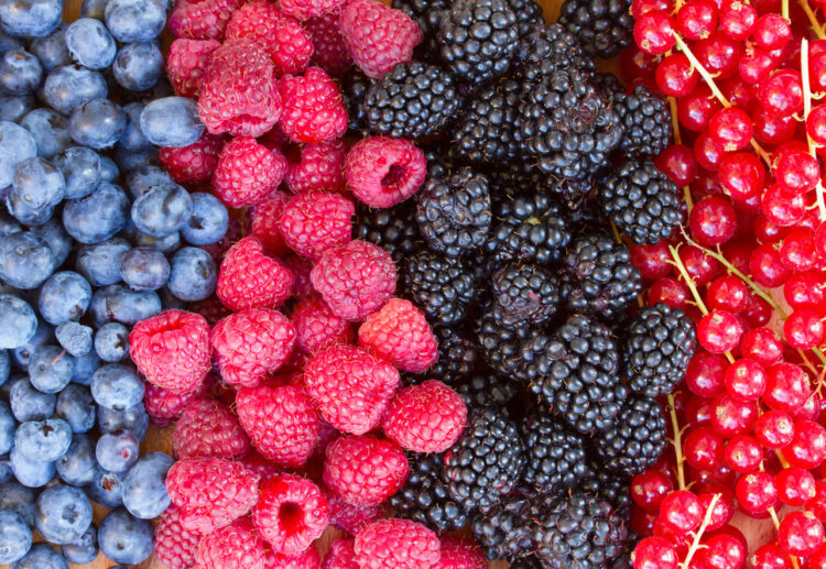 rows of  fresh berries on table